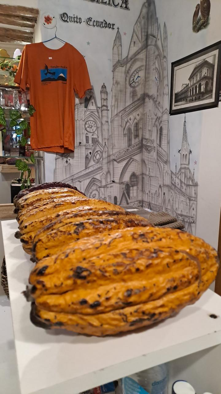 Productos Derivados de Cacao